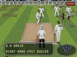 Shane Warne Cricket Screenthot 2